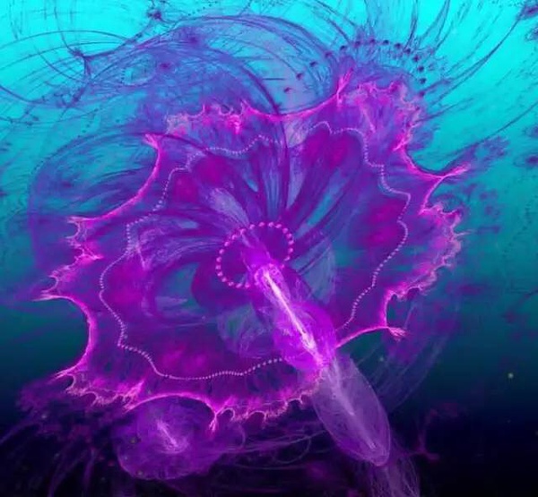 ˮĸ���ͺ�ˮһ��