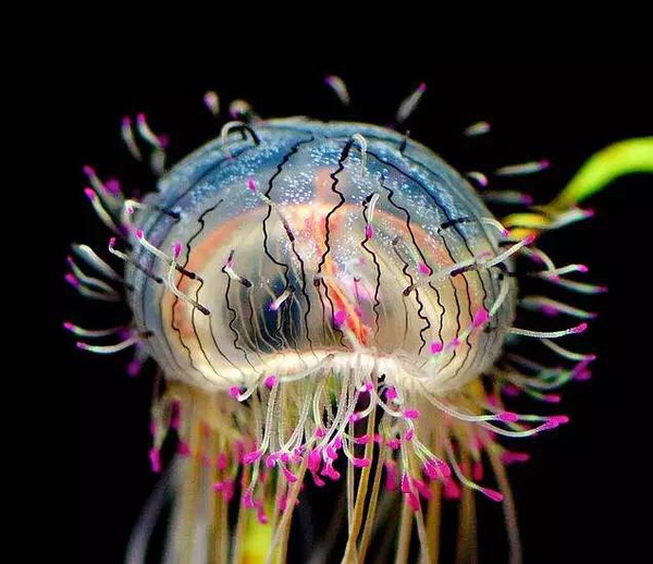 ˮĸ���o�X��|��